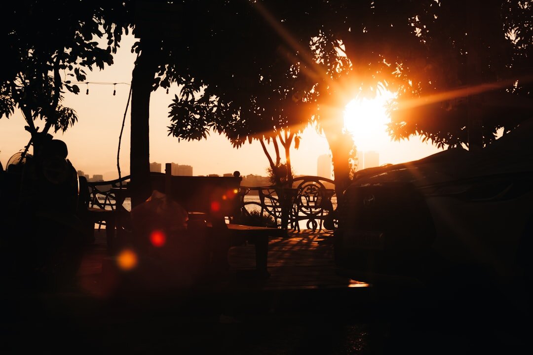Camera operator with professional camera filming in golden light